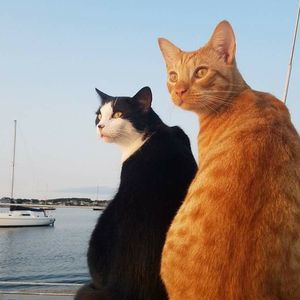 Meet your Posher, Matthew